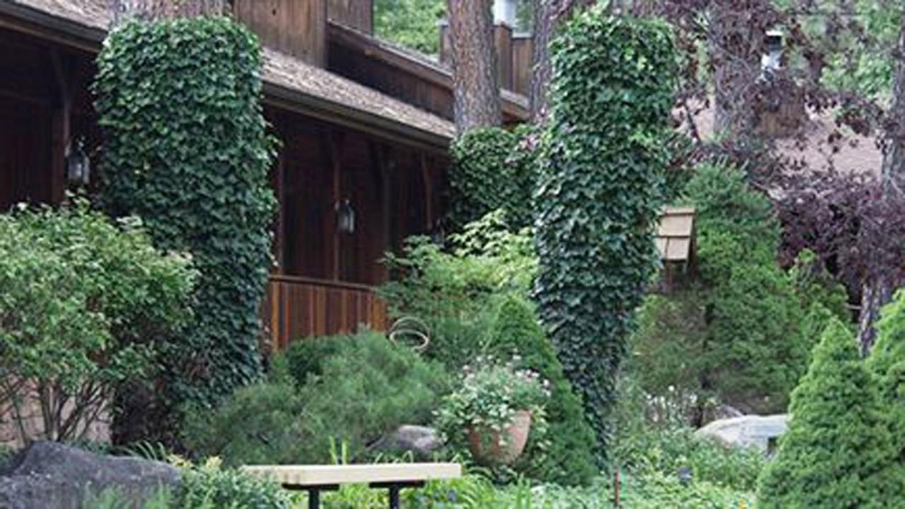 | Shadow Mountain Lodge and Cabins