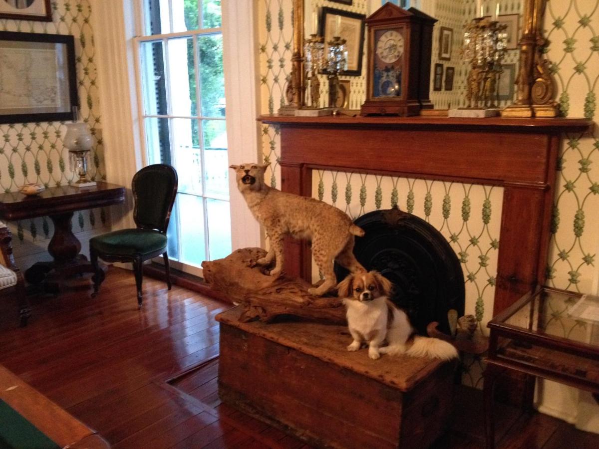 | Stone House Musical B&B