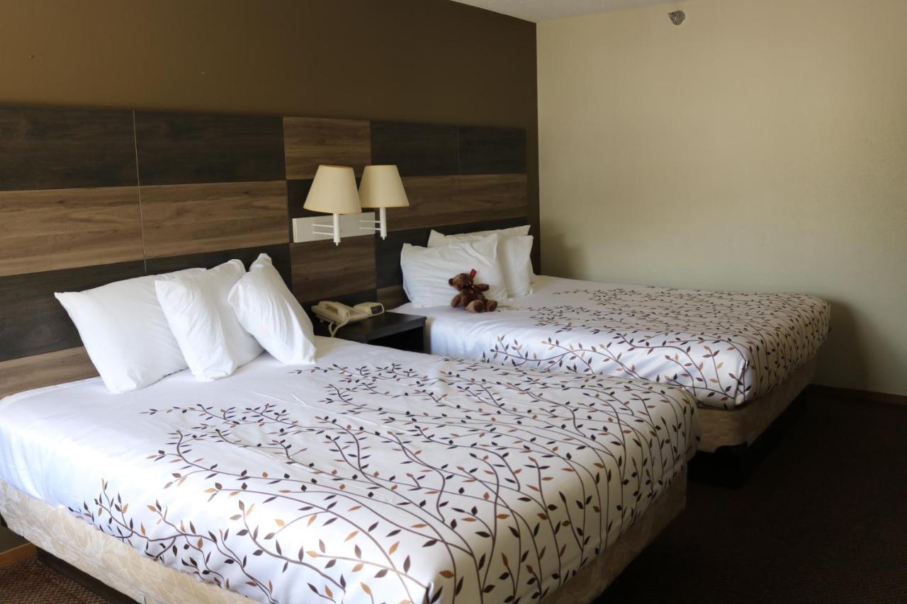  | Roosevelt Inn Mount Rushmore