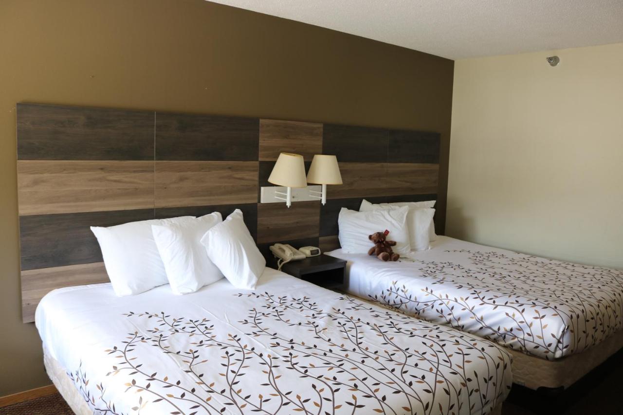 Superior Queen Room with Two Queen Beds at Roosevelt Inn Mount Rushmore