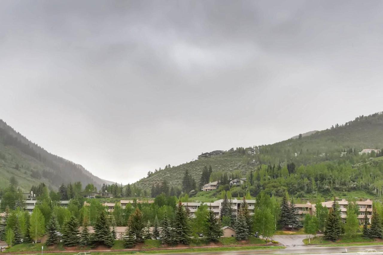 | The Lion Vail