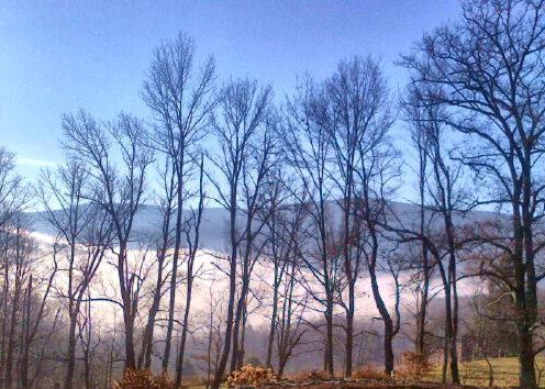 | Breezy Hill Inn