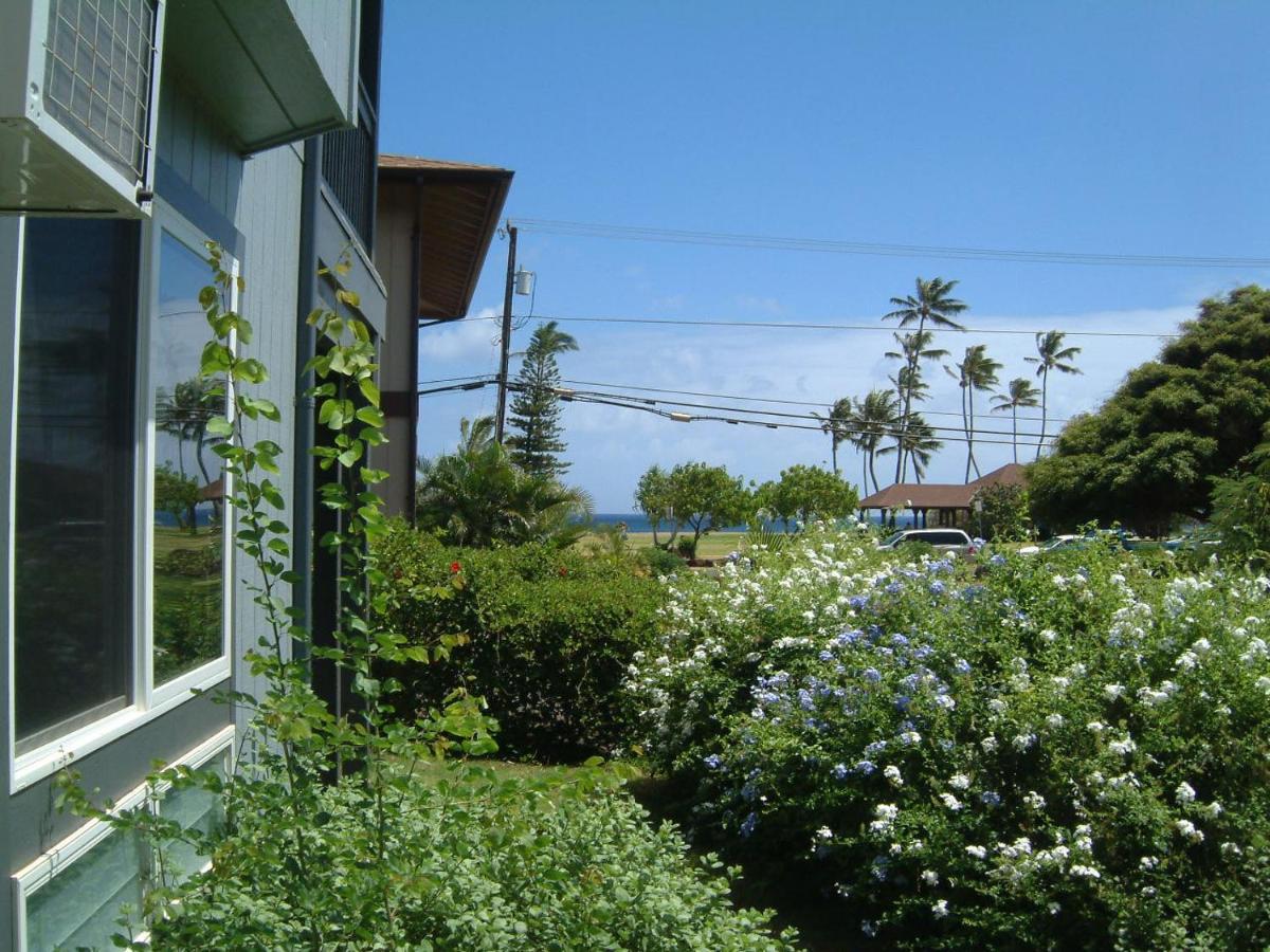 | Hale Pua Villa - Seaside Studio