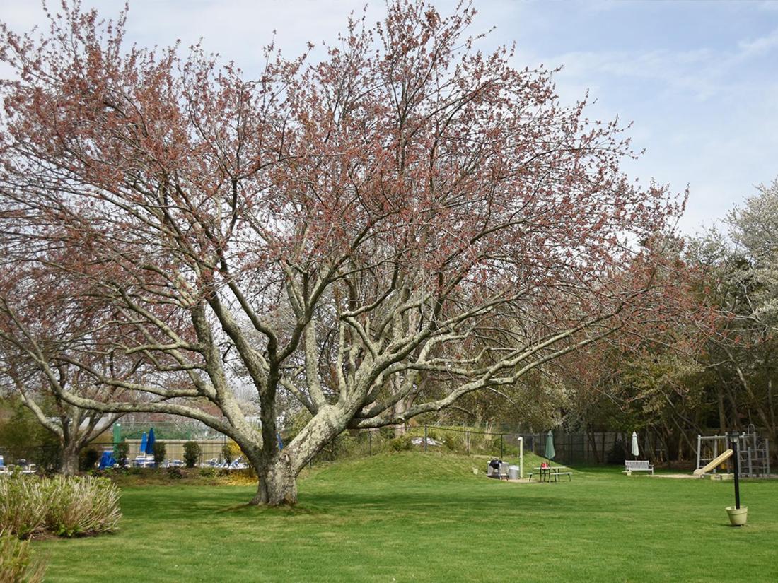 | East Hampton House Resort