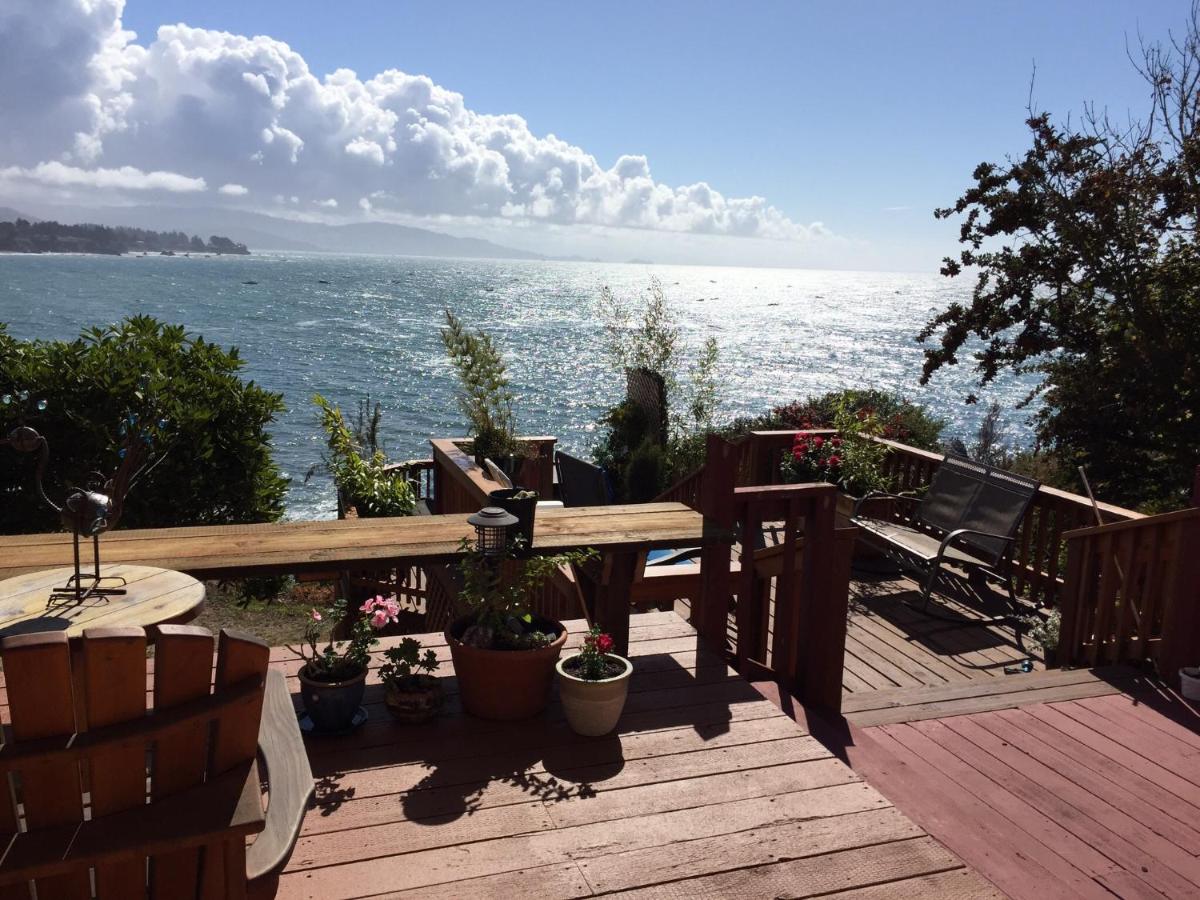 | Mermaid's Muse Bed and Breakfast