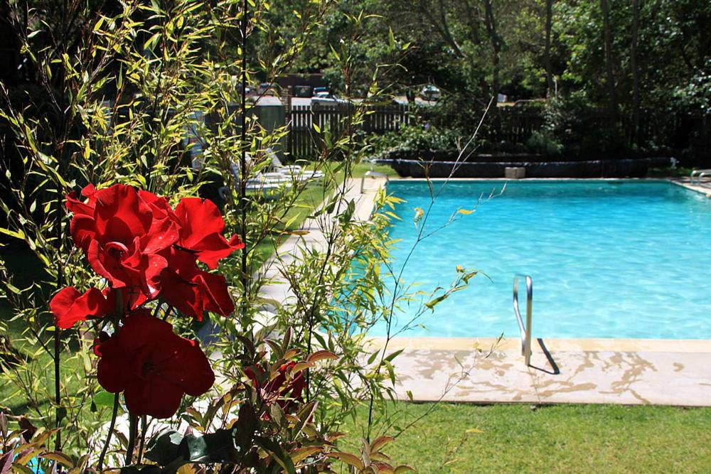 | Big Sur River Inn