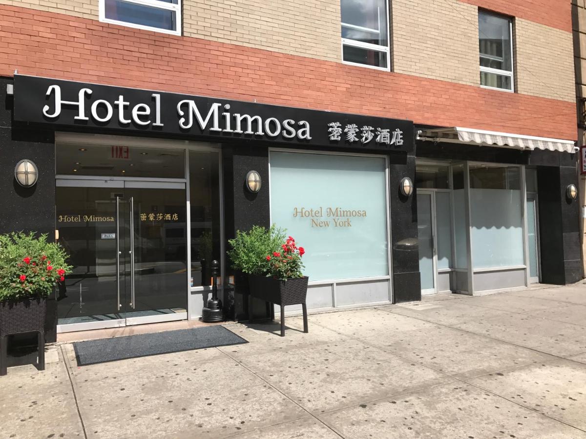  | Hotel Mimosa