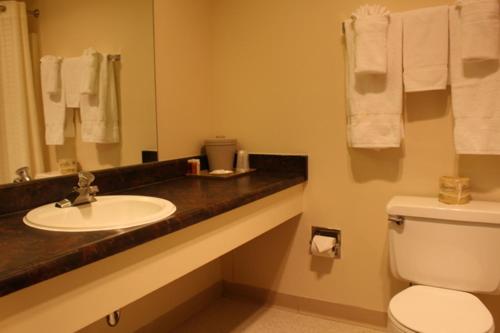 Standard Queen Room at Glacier Hotel