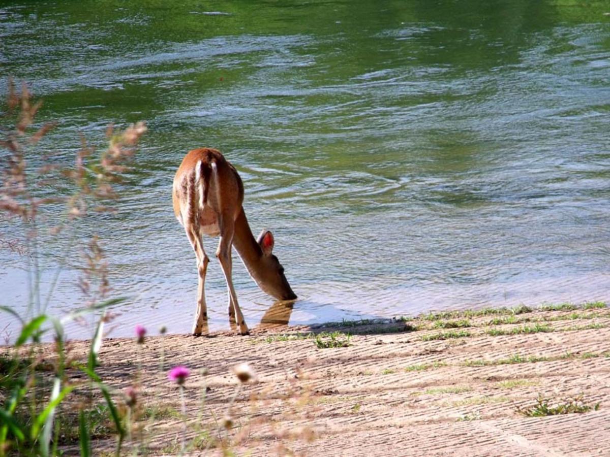 | Colorado River RV Campground