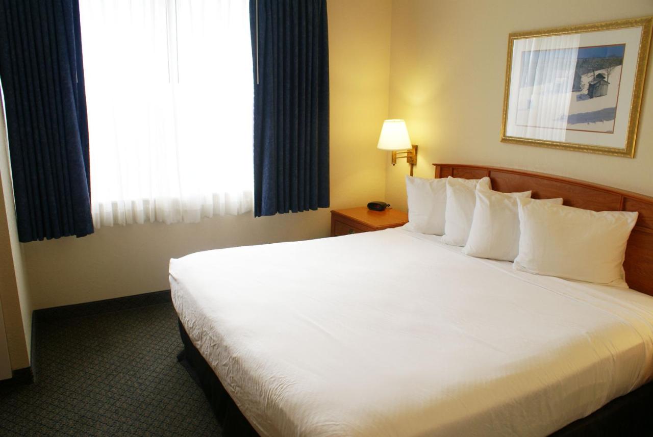 One-Bedroom King Suite with Sofa Bed at Country Inn & Suites by Radisson, Lansing, MI
