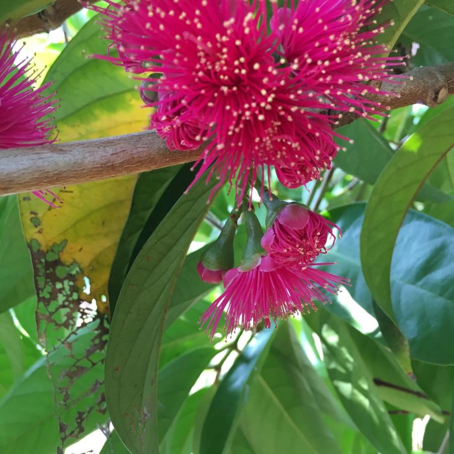  | Coffee Garden BnB