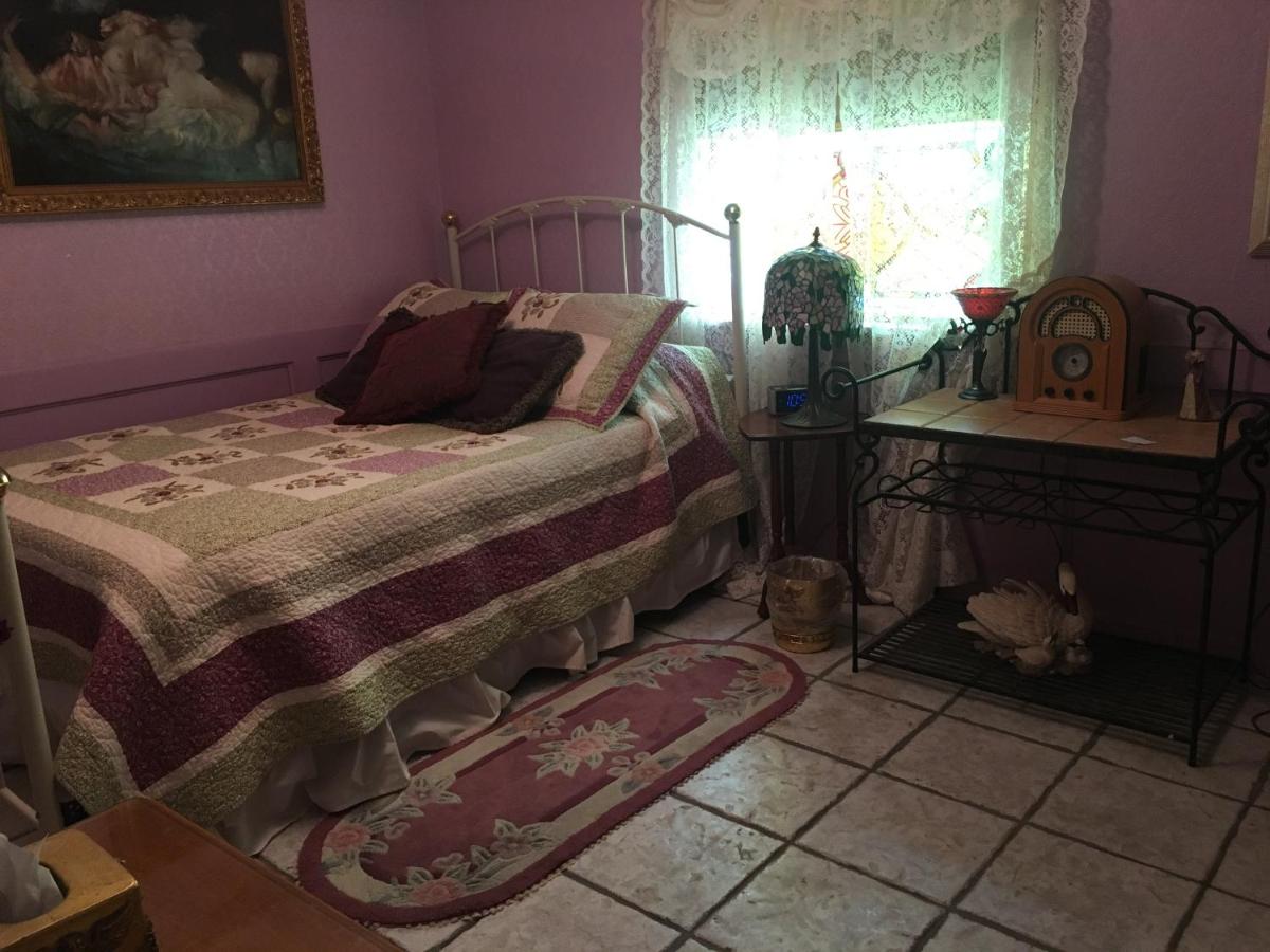 | Shady Lady Bed and Breakfast