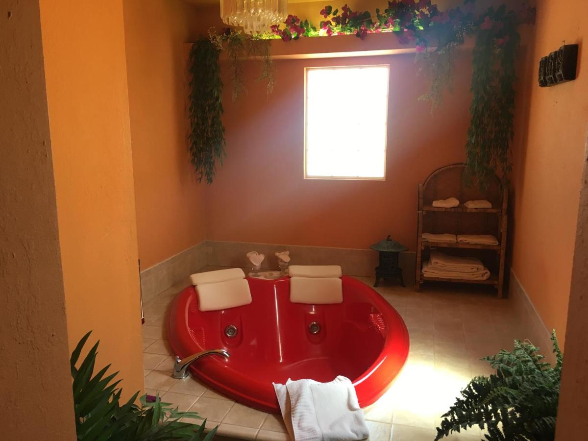 | Shady Lady Bed and Breakfast