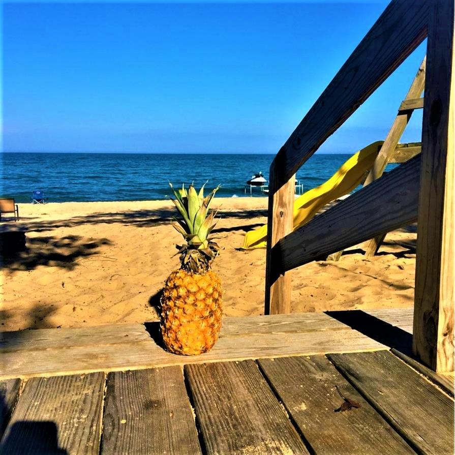  | Gold Coast Family Cottages