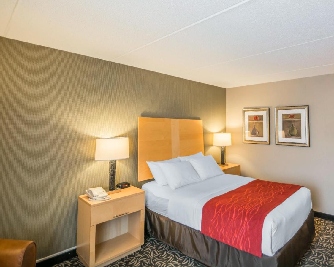 Double Room - Disability Access/Non-Smoking at Comfort Inn - NYS Fairgrounds