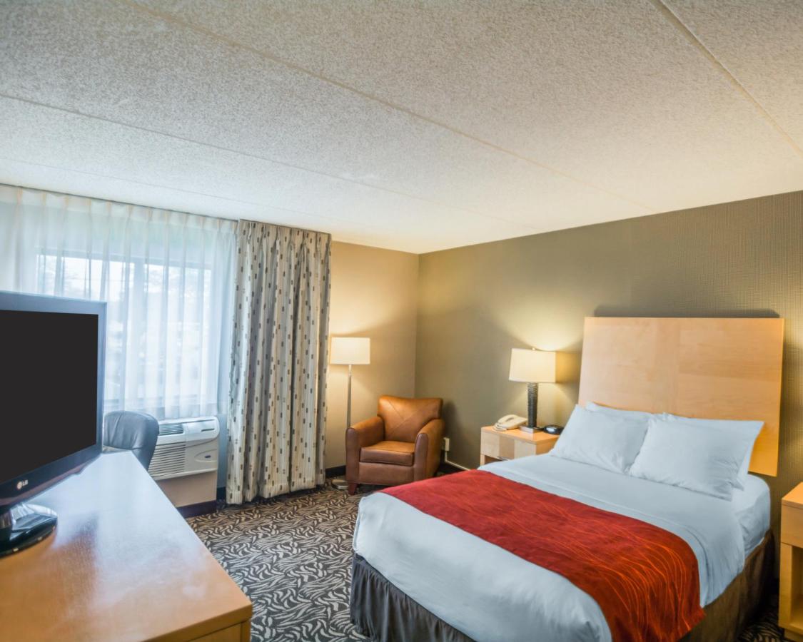 Double Room - Disability Access/Non-Smoking at Comfort Inn - NYS Fairgrounds