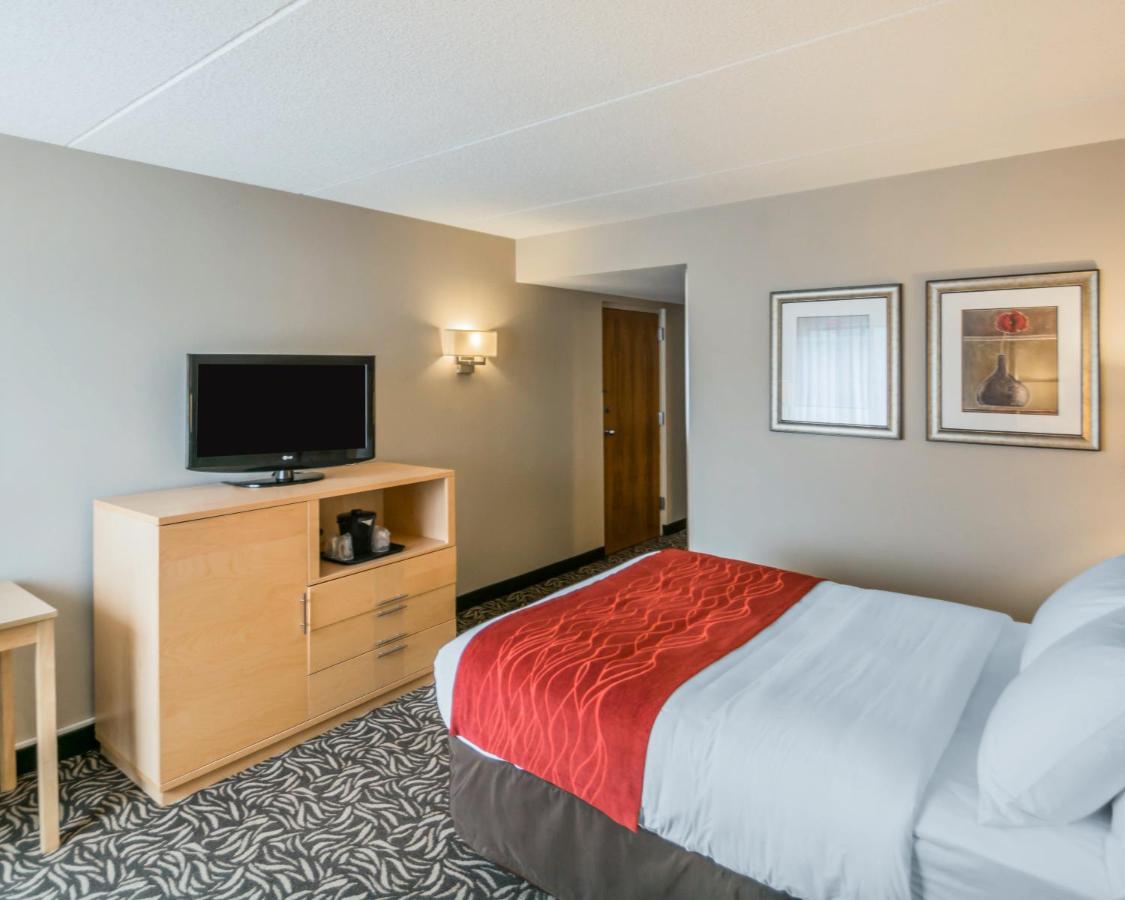 Double Room - Disability Access/Non-Smoking at Comfort Inn - NYS Fairgrounds