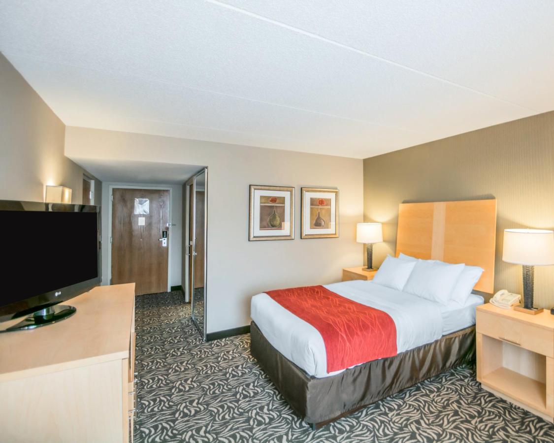 Double Room - Disability Access/Non-Smoking at Comfort Inn - NYS Fairgrounds