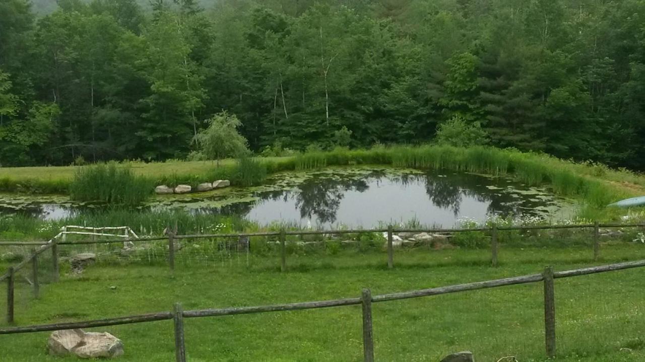 | Cold Moon Farm B&B