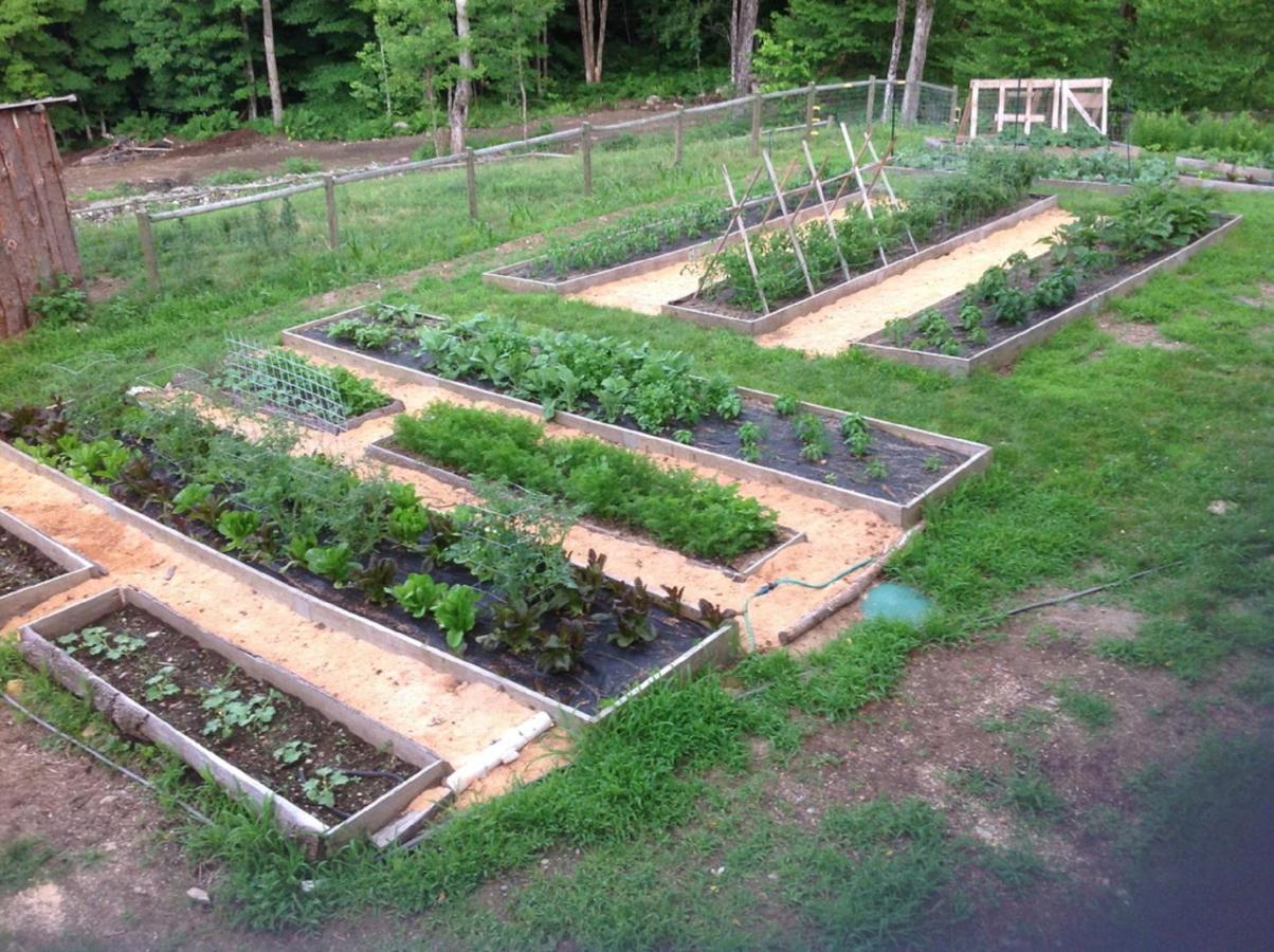 | Cold Moon Farm B&B