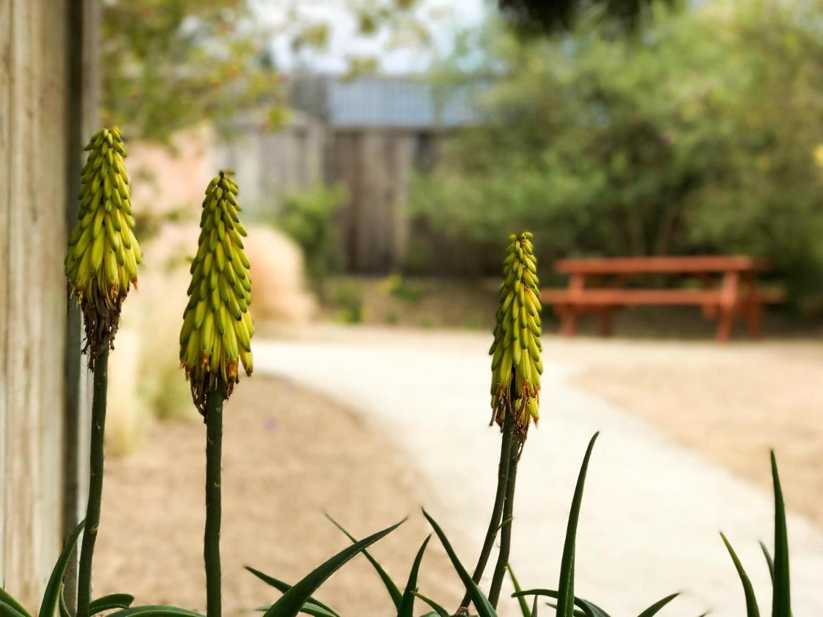 | Bodega Bay Inn