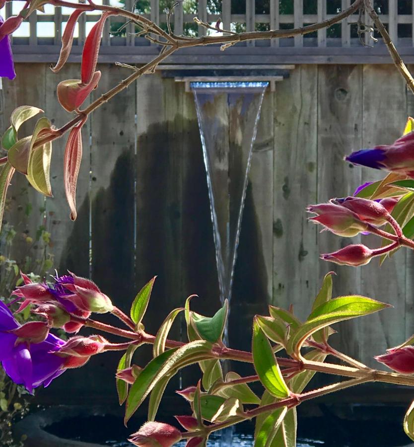 | Bodega Bay Inn