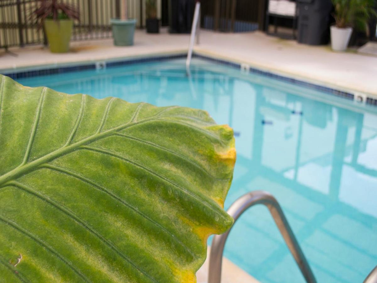 | Brighton Suites Hotel