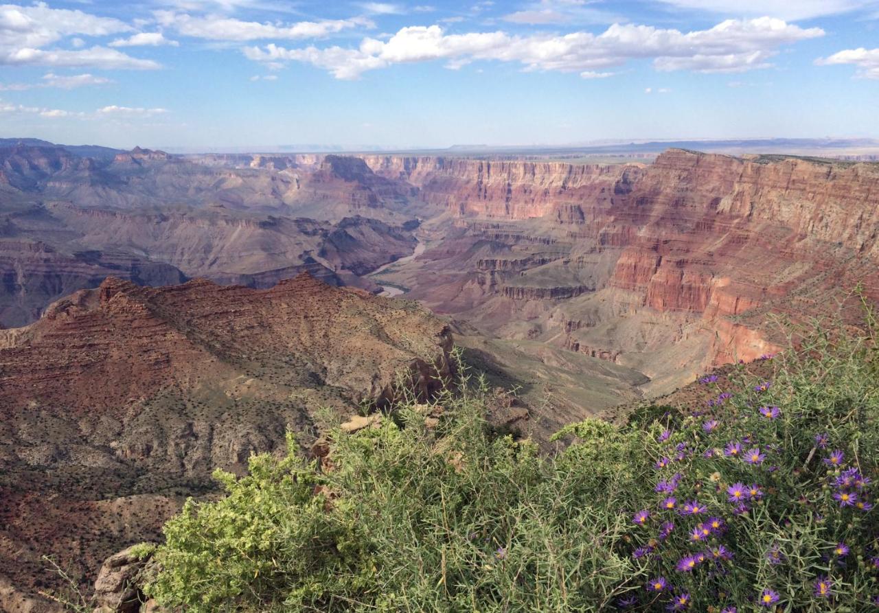 | Grand Canyon Plaza Hotel