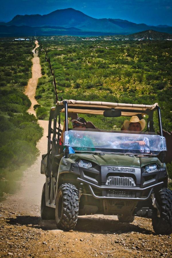 | Rancho de la Osa Guest Ranch