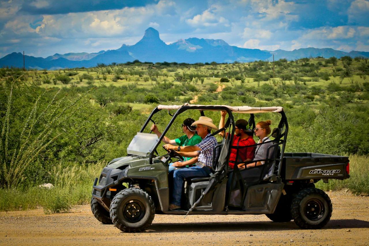 | Rancho de la Osa Guest Ranch