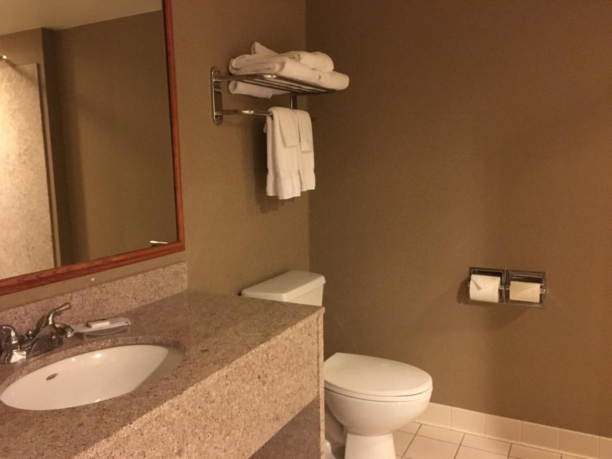 One-Bedroom King Suite - Non-Smoking at Wingate by Wyndham Coon Rapids