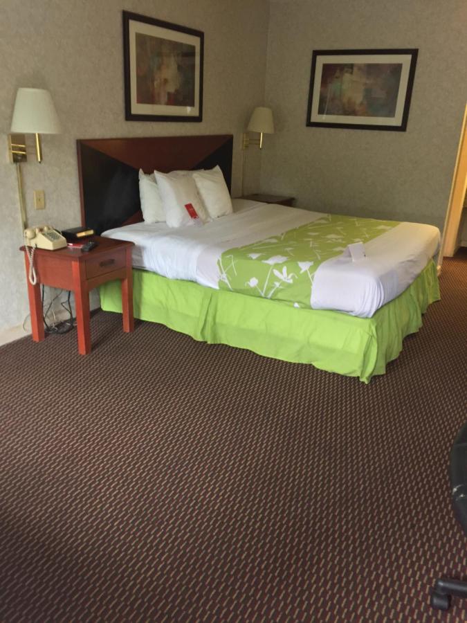 Standard King Room - Non-Smoking at Econo Lodge Dothan West