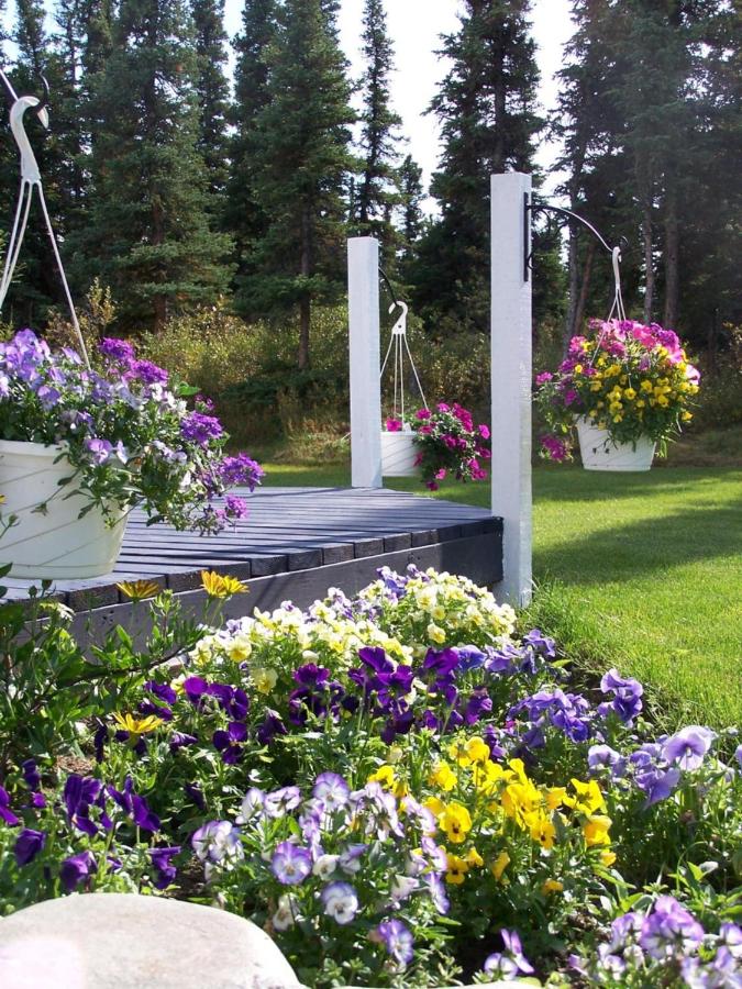 | Denali Primrose B&B