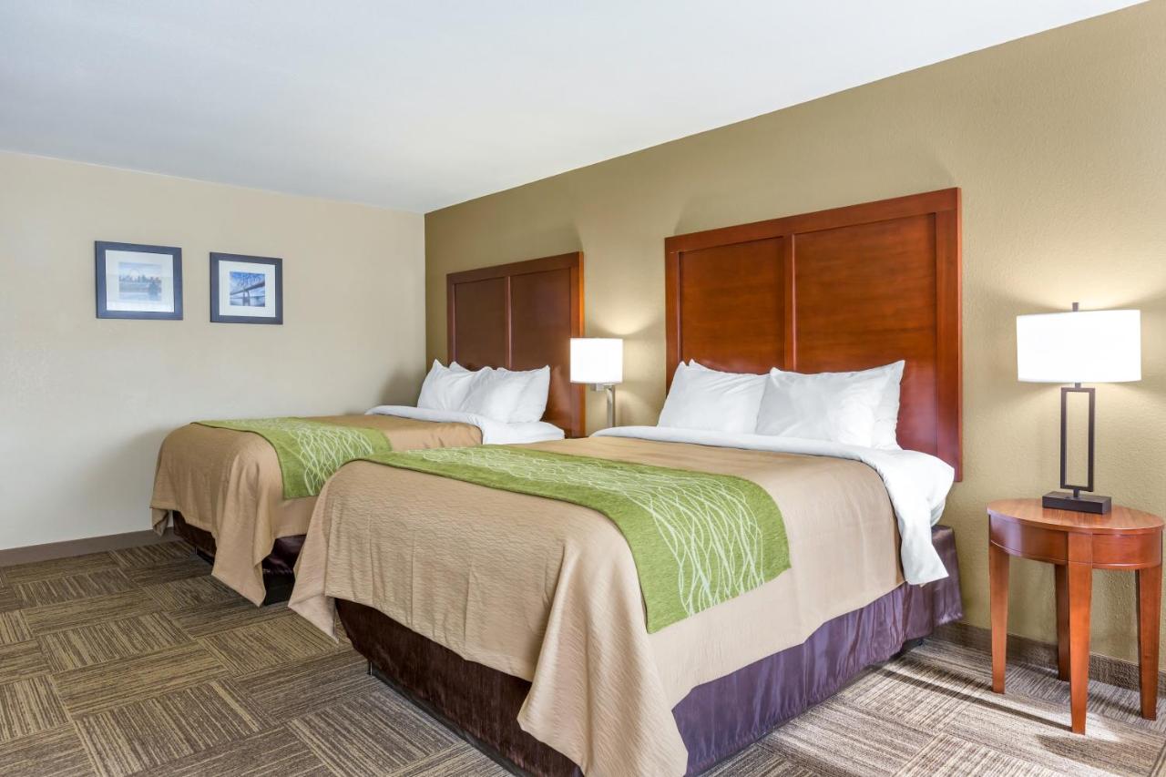 Room #48992316 at Comfort Inn Collinsville near St. Louis