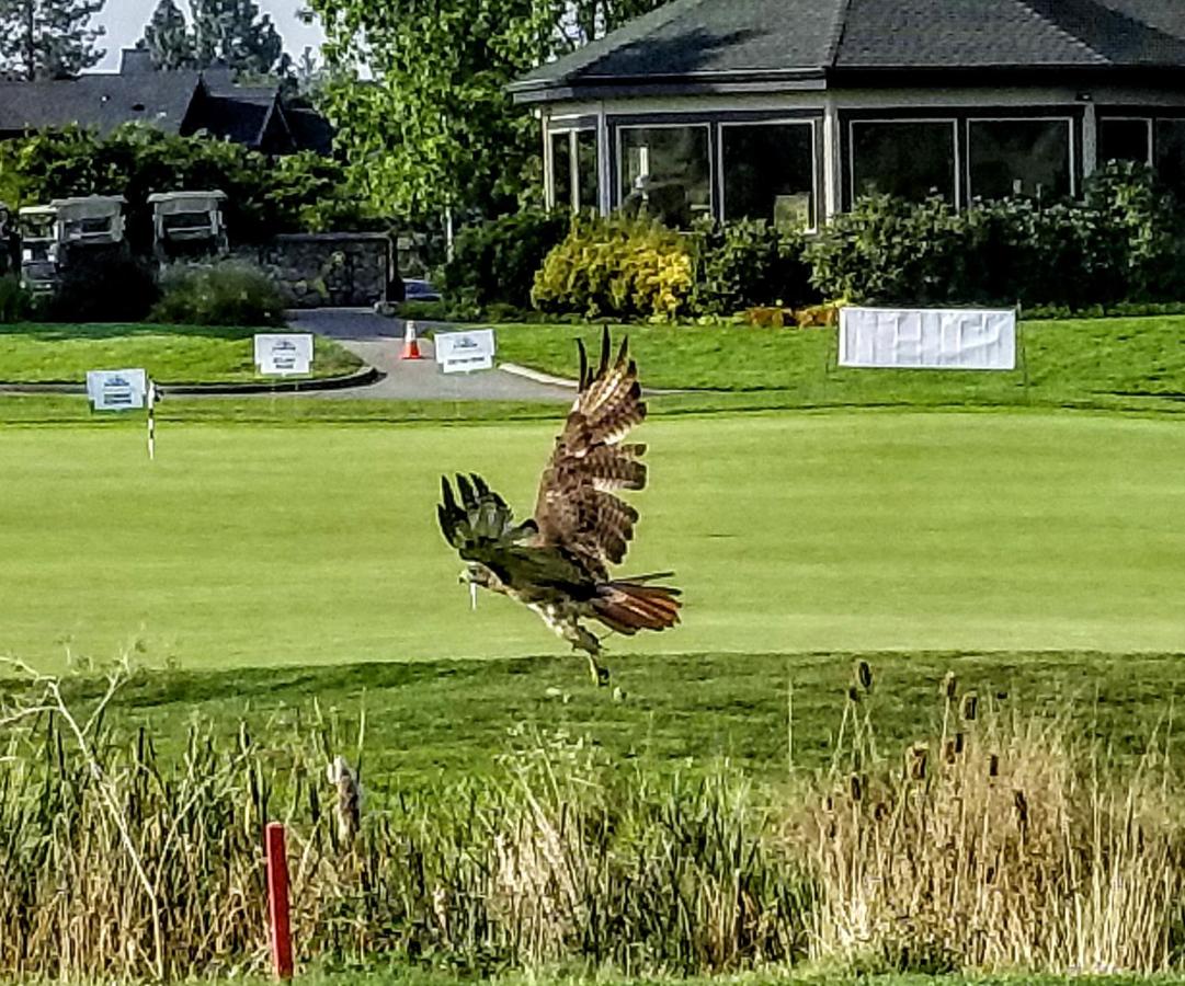 | Resort at Eagle Point Golf Club Lodging