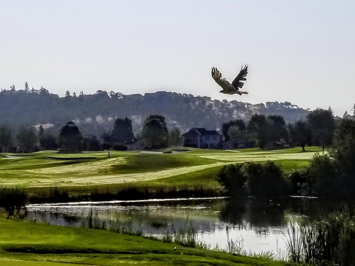 | Resort at Eagle Point Golf Club Lodging
