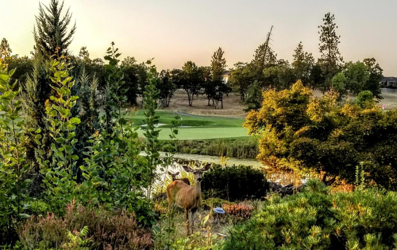 | Resort at Eagle Point Golf Club Lodging