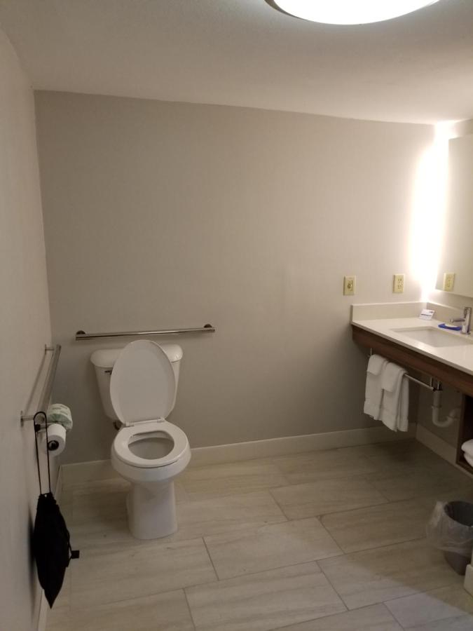 King Room - Disability Access at Holiday Inn Express Birch Run - Frankenmuth Area by IHG