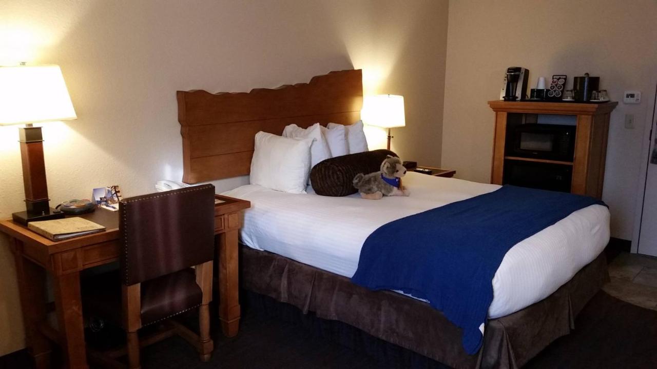 Courtyard Compact Room One Queen Bed at The Rockwell Inn