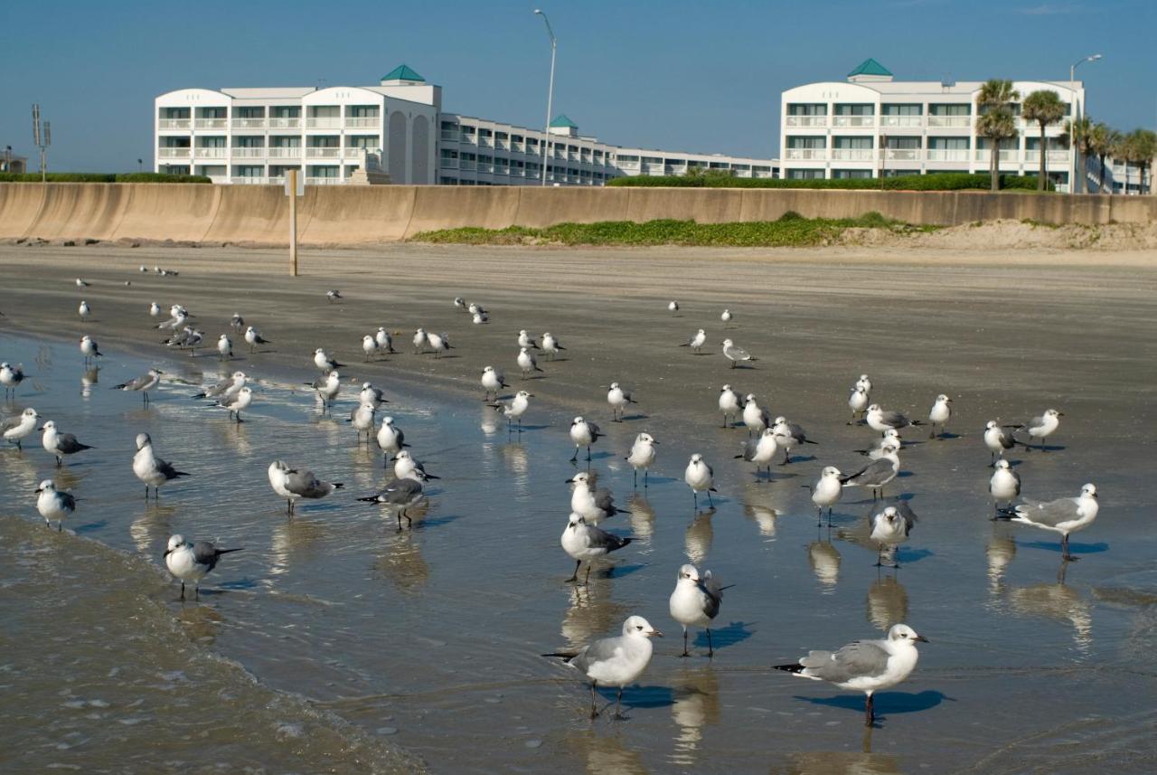 | Casa Del Mar Beachfront Suites Onsite Team