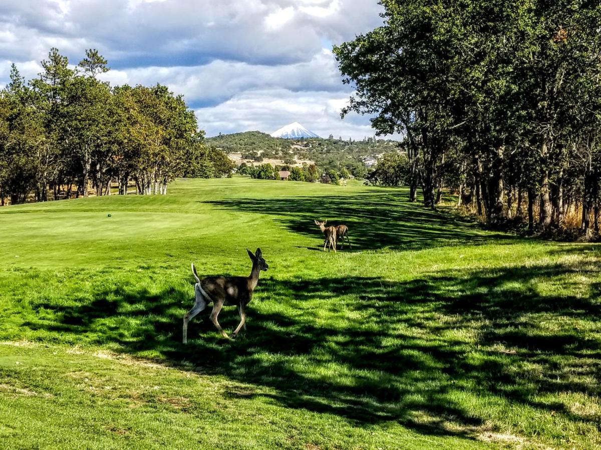 | Resort at Eagle Point Golf Club Lodging