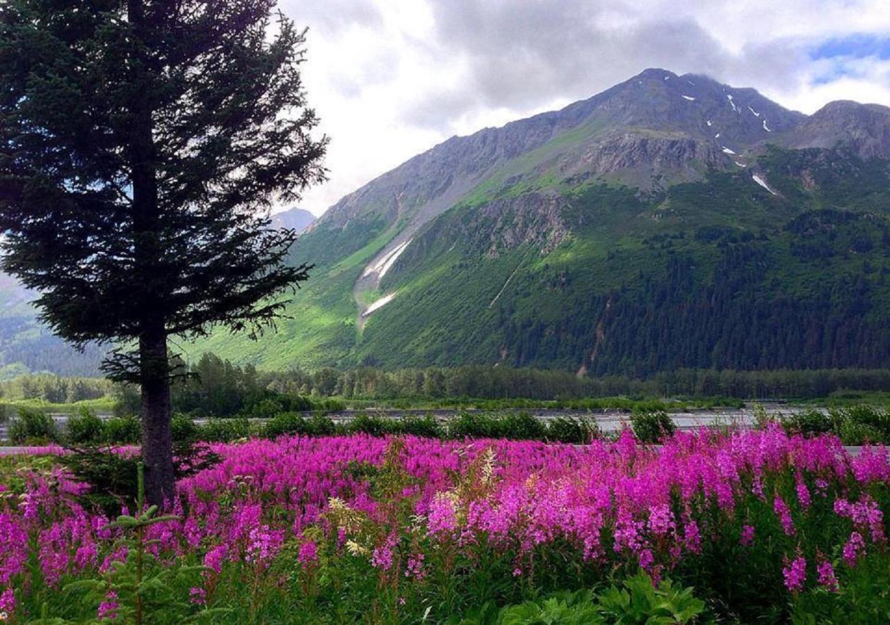 | Arctic Paradise B&B
