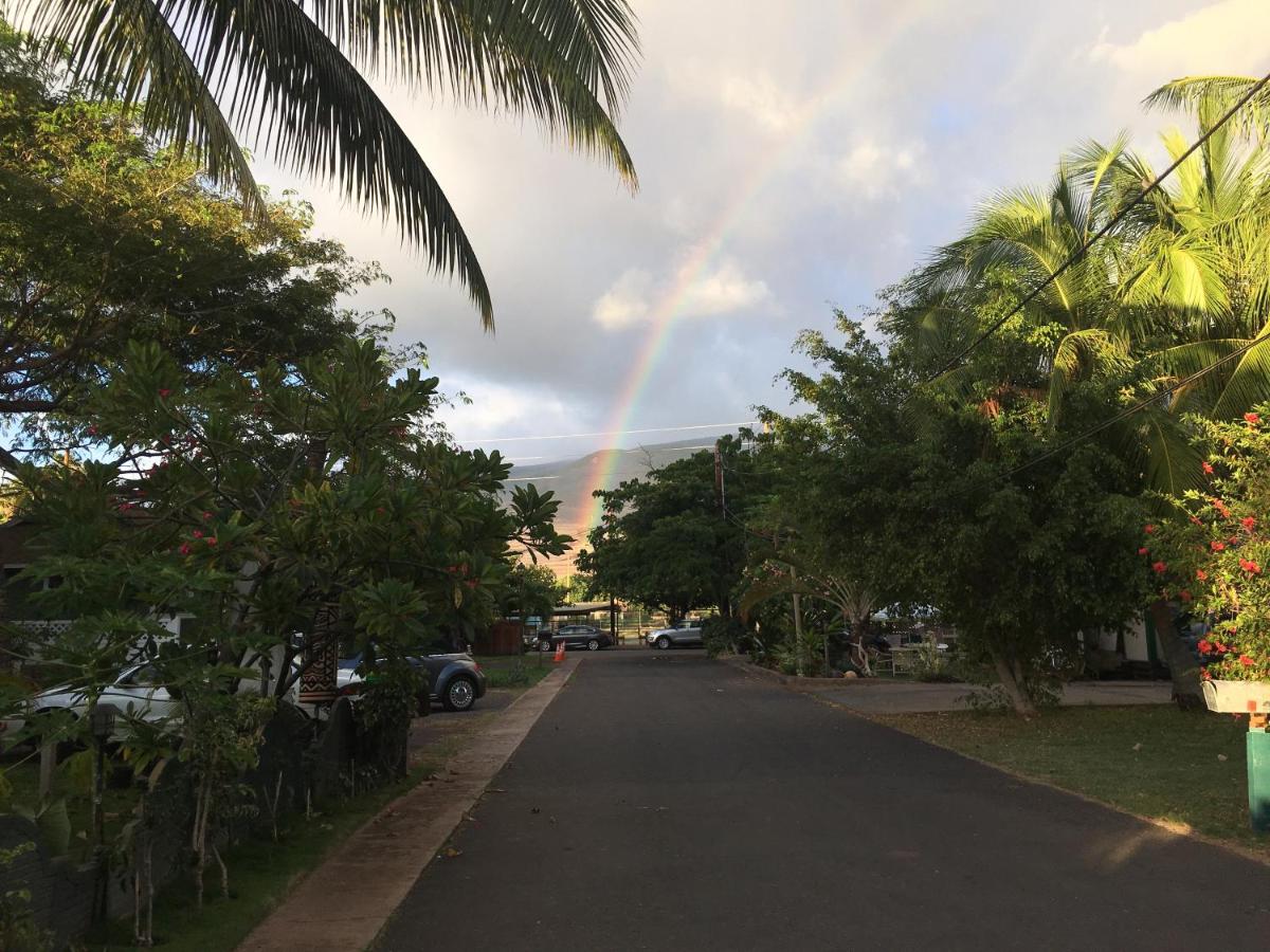  | Hakuna Matata Maui Hostel