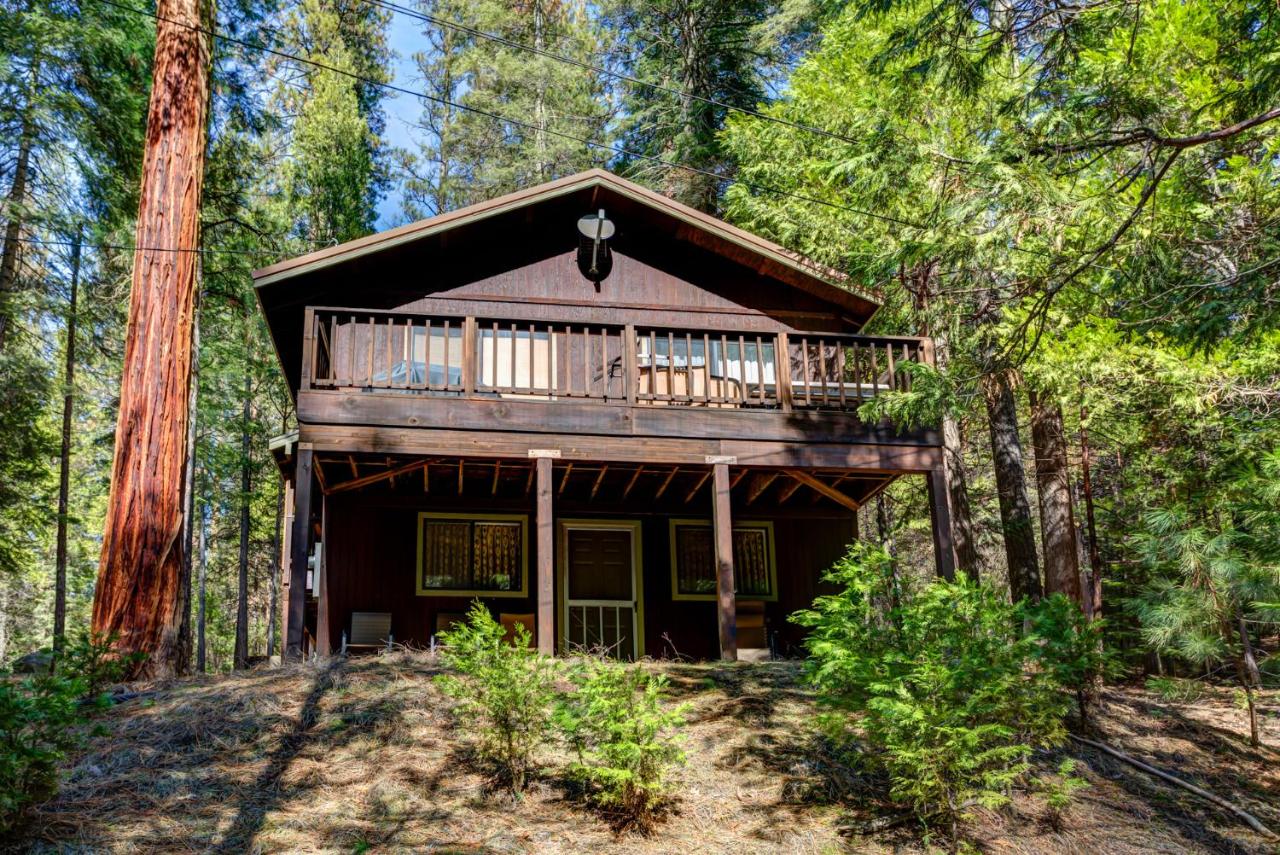 | 1S Cecils Cabin