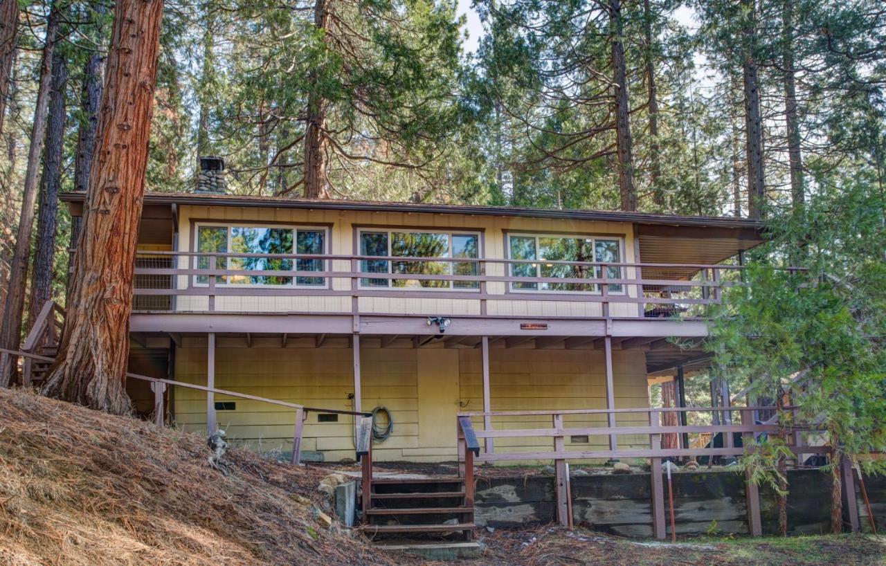 | 11B Sequoia House