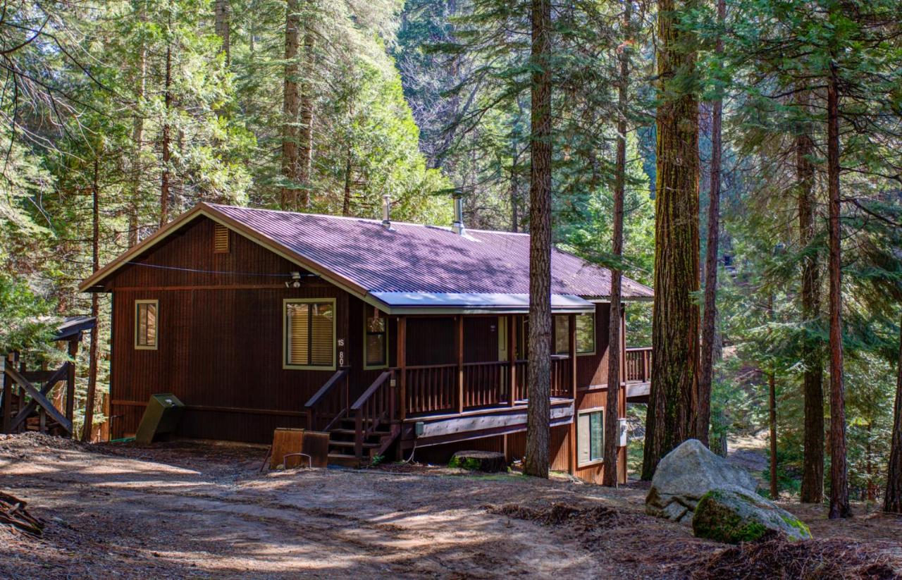 | 1S Cecils Cabin