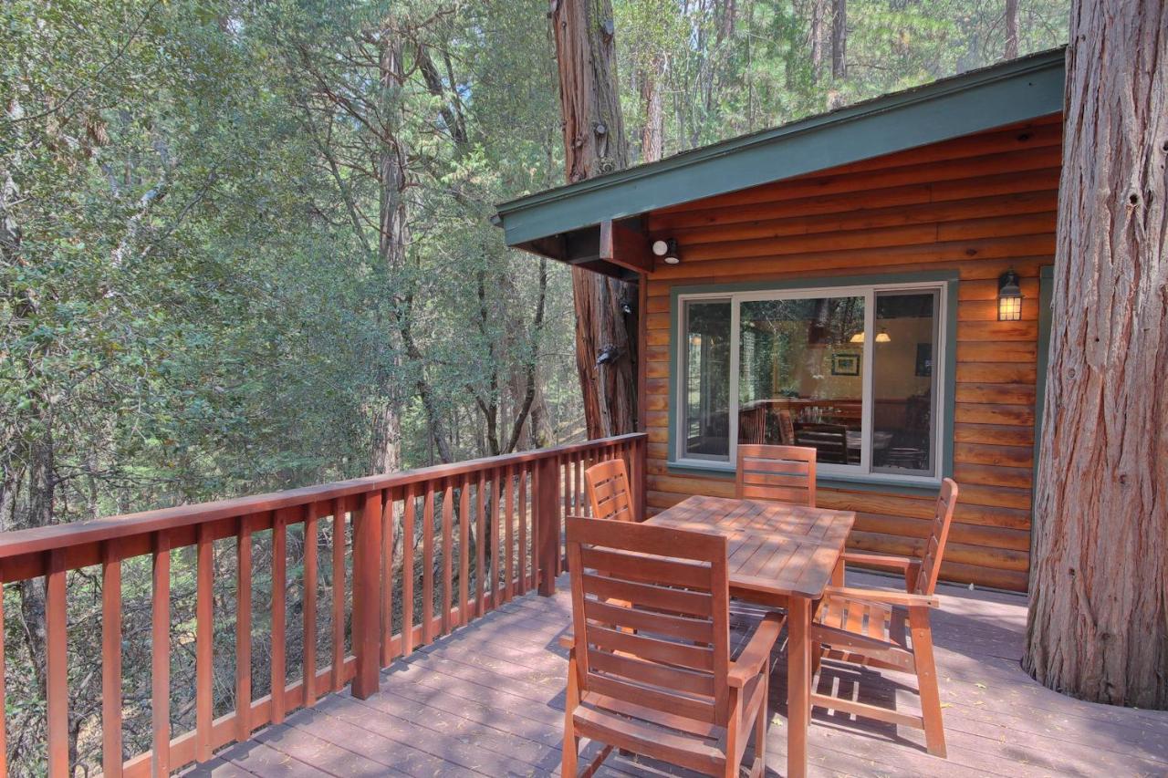 | 1L The Tree House