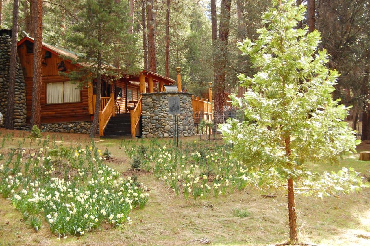 | 52 Tuolumne Meadow