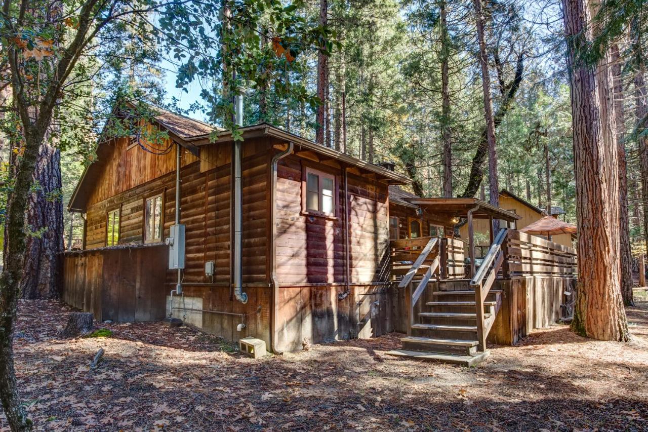 | 53 Creekside Cabin
