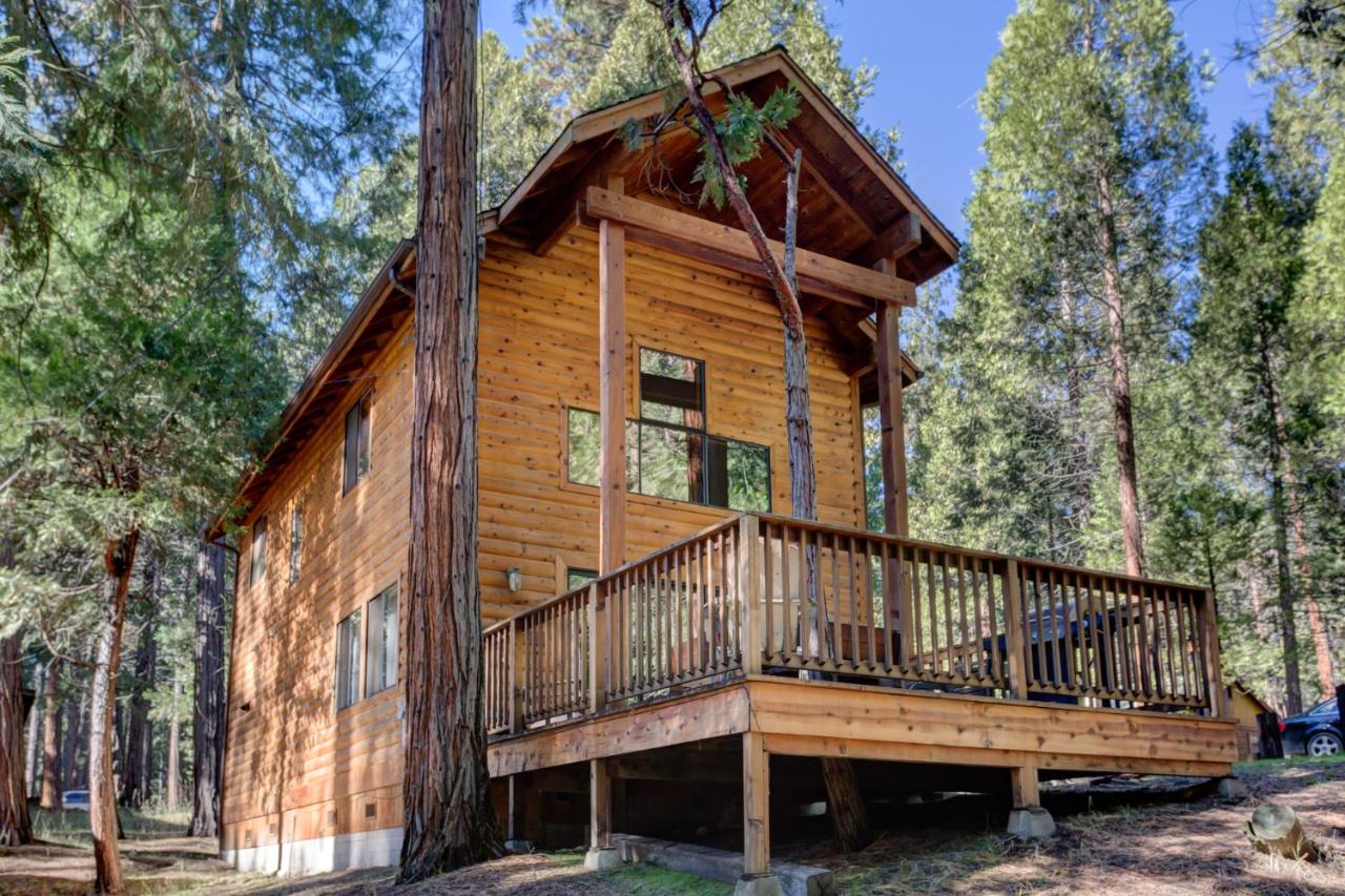 | 12 Cabin Twelve